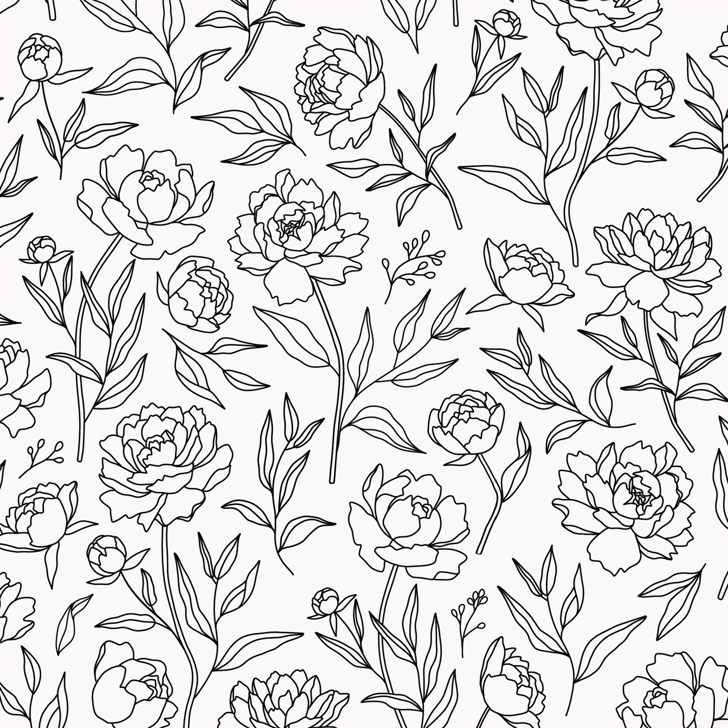 Peony Wallpaper - Black