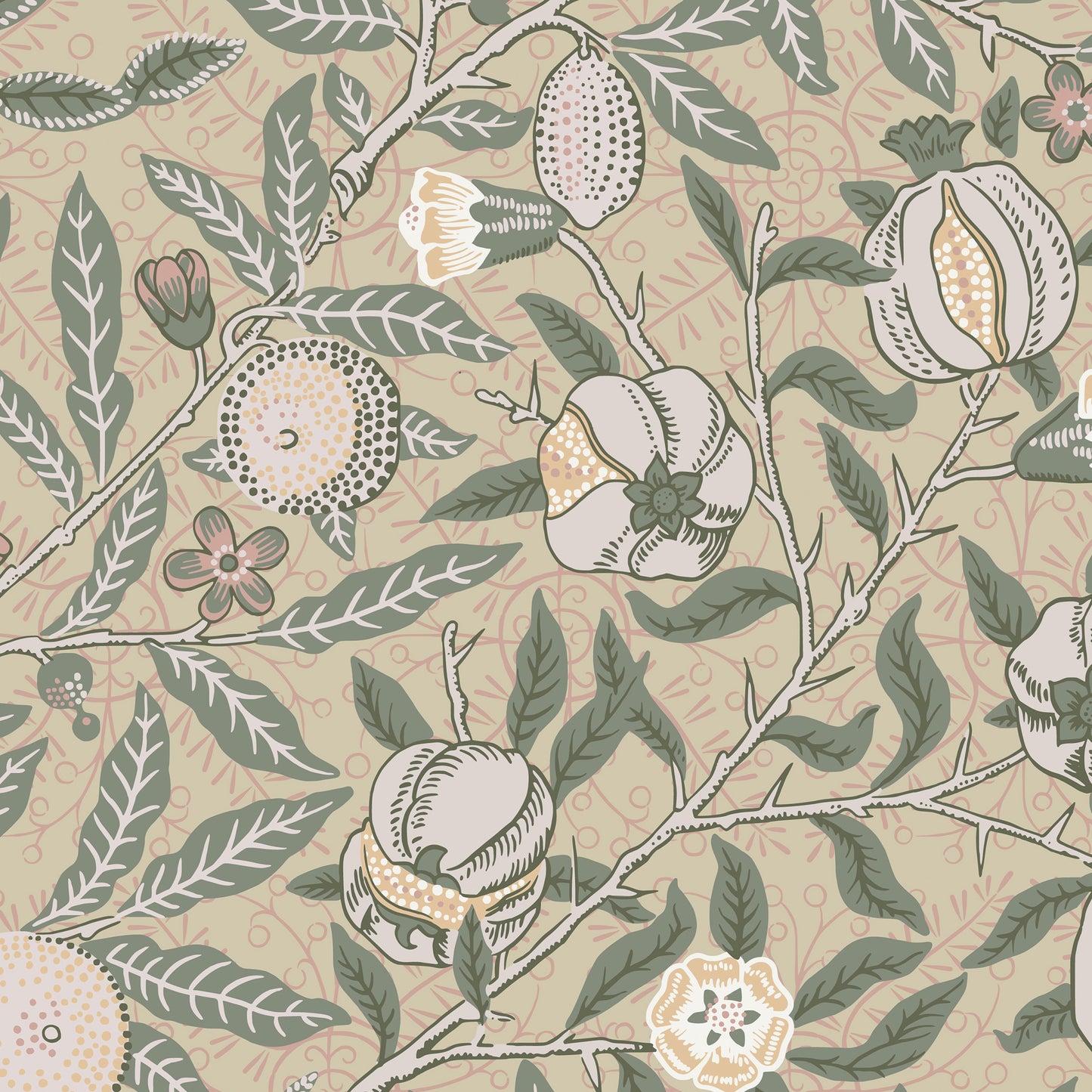 Pomegranate Wallpaper - Tan