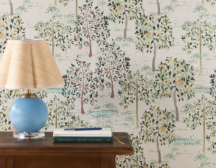 Ayara x Anthropologie