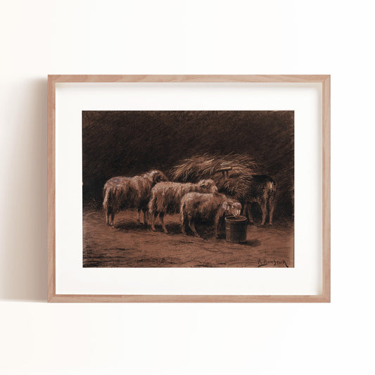 Little Sheep Art Print