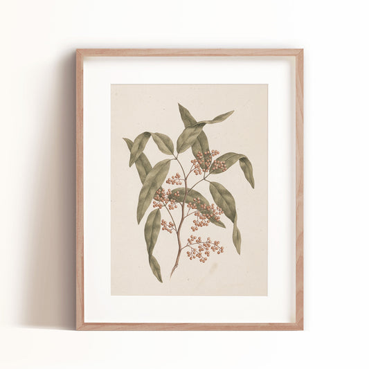 Berry Branches Art Print