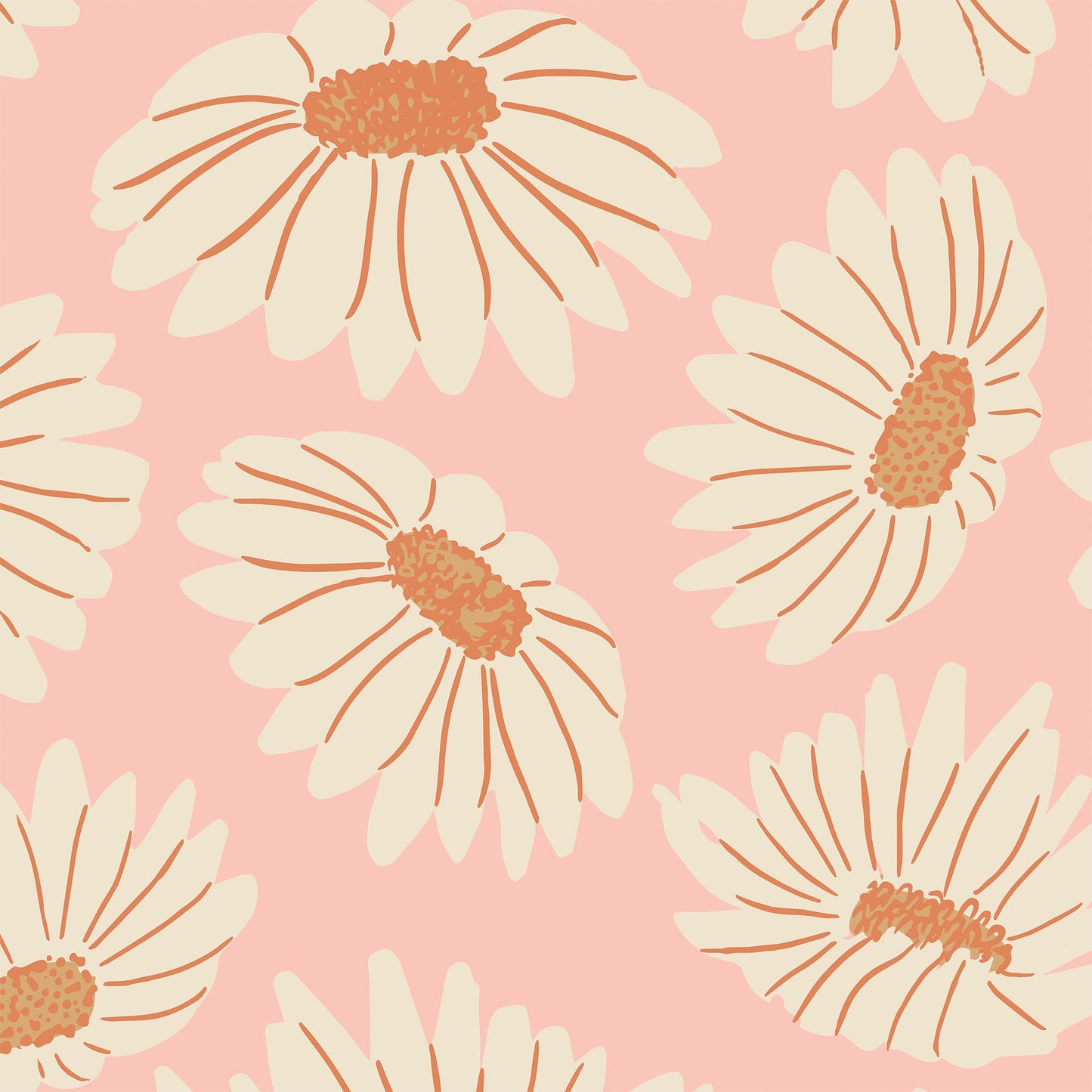 Closeup view of Daisies Wallpaper in Pink by artist Brenda Bird