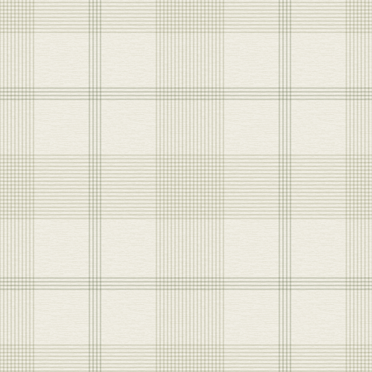 Plaid pattern with sage green lines on a white background