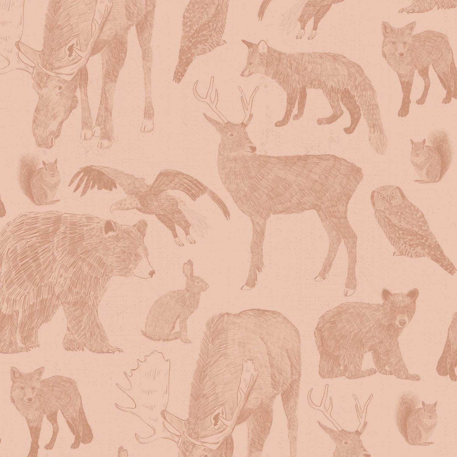 Close up featuring Cayla Naylor Kenai- Blush Peel and Stick Wallpaper - a nature inspired pattern