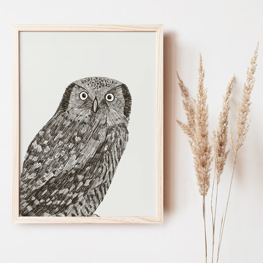 Framed art print and grasses. Wall art features a sketched woodland owl art print by Cayla Naylor