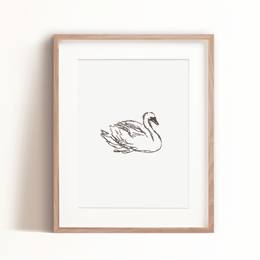 Swan Art Print