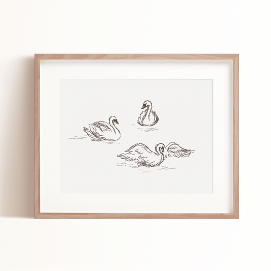 Swan Trio Art Print