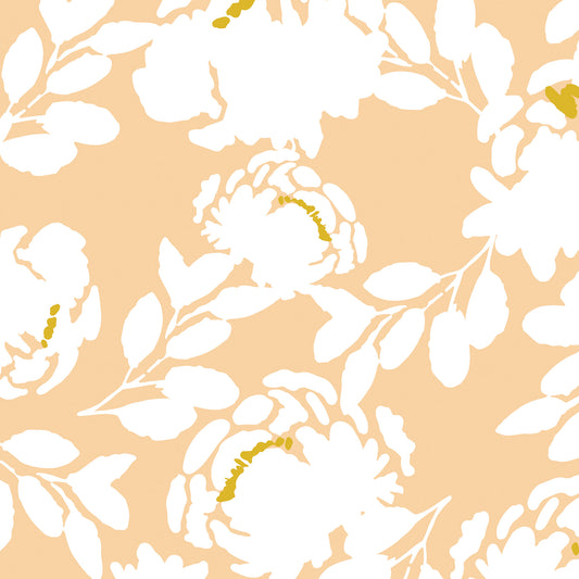 Roses Wallpaper - Peach